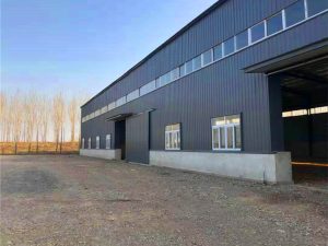 Steel Structure Plant with Rolling H-Shaped Steel – Robust and Efficient Construction