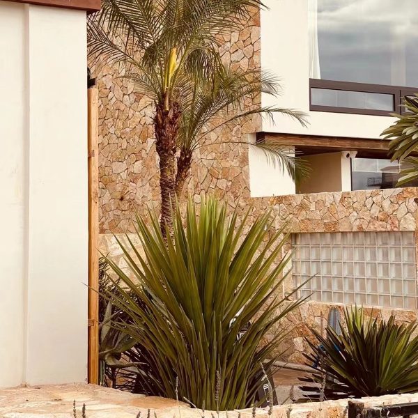 Enhance your villa’s exterior with our Decorative Natural Stone cladding. Offering timeless beauty, durability, and luxury, this natural stone is perfect for creating a sophisticated and weather-resistant façade. Ideal for luxury homes, it adds value and prestige to your property while requiring minimal maintenance.