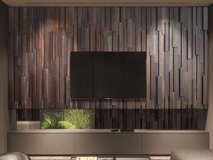 حائط خلفية تلفزيون رابين تروجان - ديكور B & B Vision