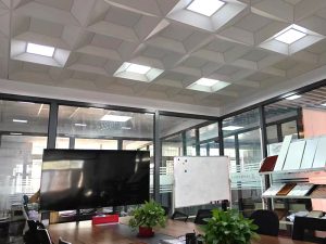Shaped Aluminum Gusset Integrated Ceilings – Modern and Durable Solutions