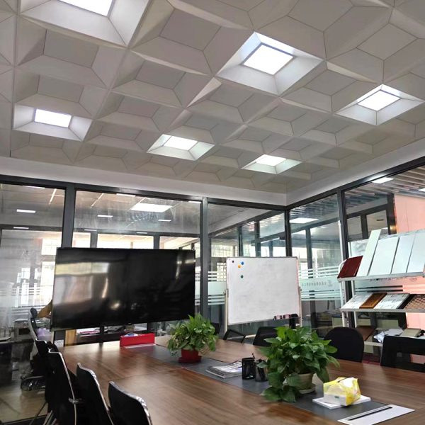 Shaped Aluminum Gusset Integrated Ceilings – Modern and Durable Solutions