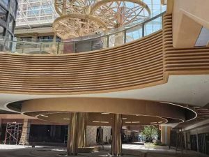 Custom Aluminum Alloy Indoor Ceiling