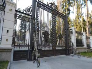 Luxurious Sliding Dragon Gate