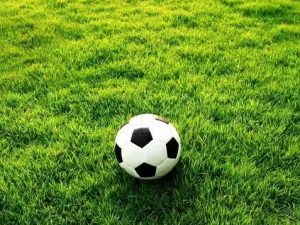 Premium Synthetic Grass Rug - Artificial Grass for Soccer and Football