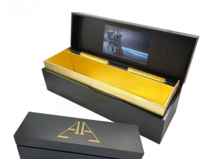 Customized Luxury Black Cosmetic Essential Oil Storage Box with Lock - Secure and Elegant Organizer