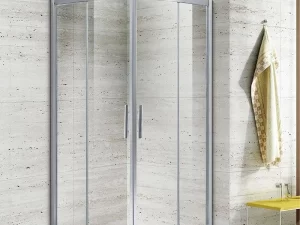Shower Door